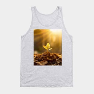 tree sapling in morning light Tank Top